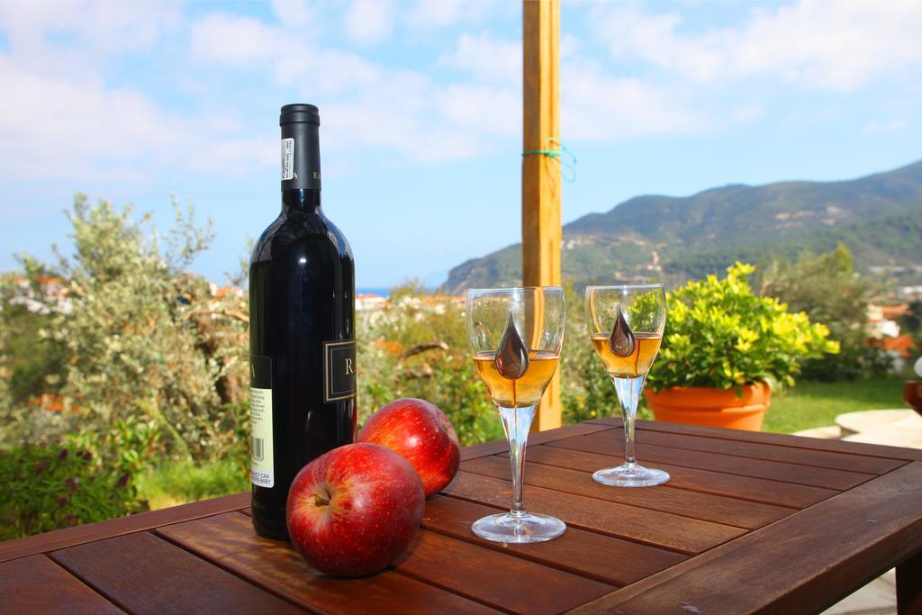 Remvi Apartments Σκόπελος Εξωτερικό φωτογραφία